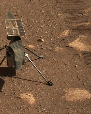 Ingenuity by NASA / Jet Propulsion Laboratory